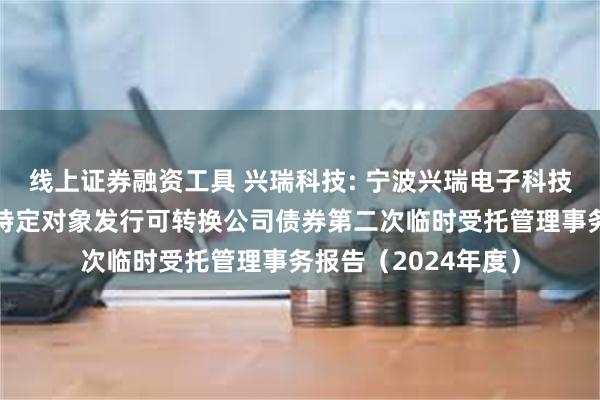 线上证券融资工具 兴瑞科技: 宁波兴瑞电子科技股份有限公司向不特定对象发行可转换公司债券第二次临时受托管理事务报告(2024年度)