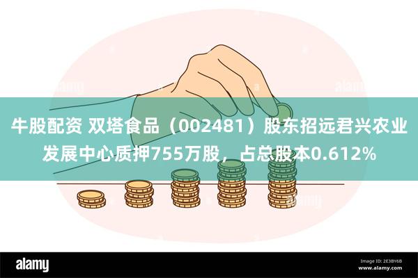 牛股配资 双塔食品（002481）股东招远君兴农业发展中心质押755万股，占总股本0.612%