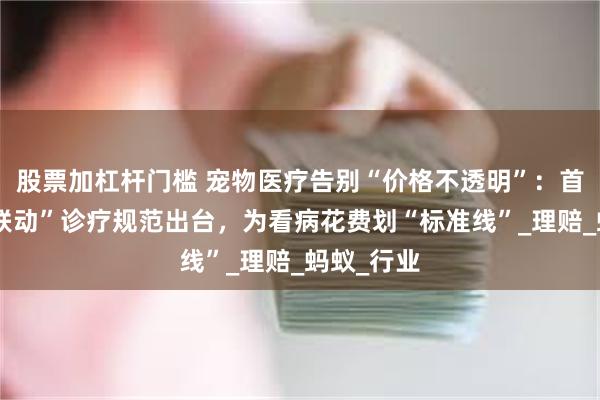 股票加杠杆门槛 宠物医疗告别“价格不透明”：首个“医险联动”诊疗规范出台，为看病花费划“标准线”_理赔_蚂蚁_行业