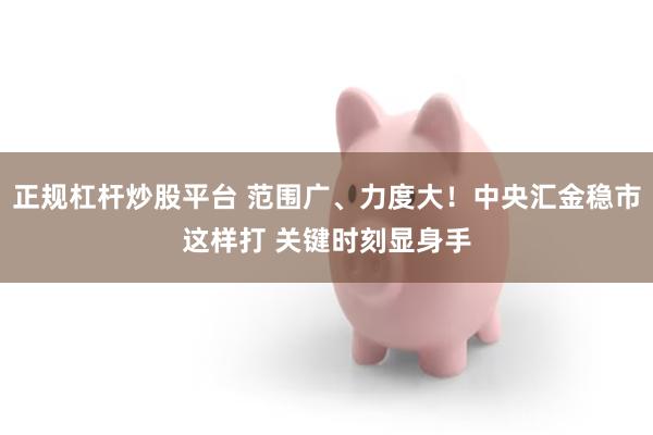 正规杠杆炒股平台 范围广、力度大！中央汇金稳市这样打 关键时刻显身手