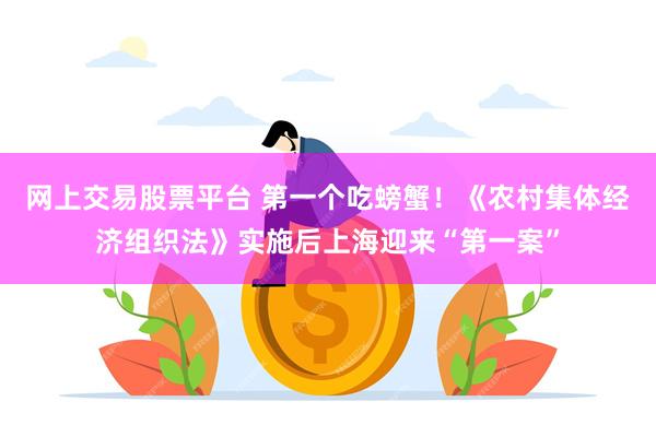 网上交易股票平台 第一个吃螃蟹！《农村集体经济组织法》实施后上海迎来“第一案”