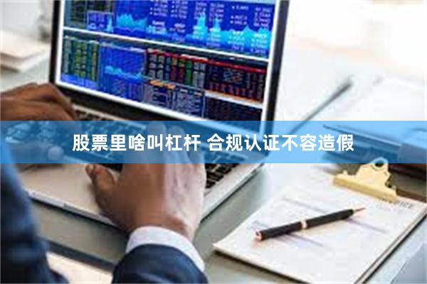 股票里啥叫杠杆 合规认证不容造假