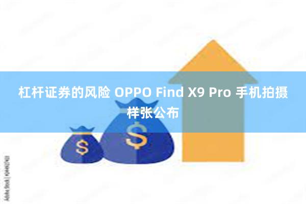 杠杆证券的风险 OPPO Find X9 Pro 手机拍摄样张公布